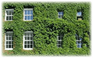 Fönsterrenovering i Härnösand